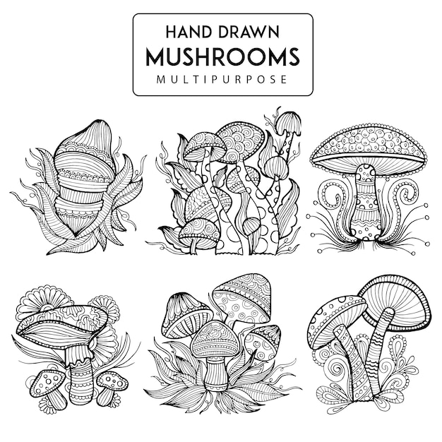 Hand drawn mushroom collection