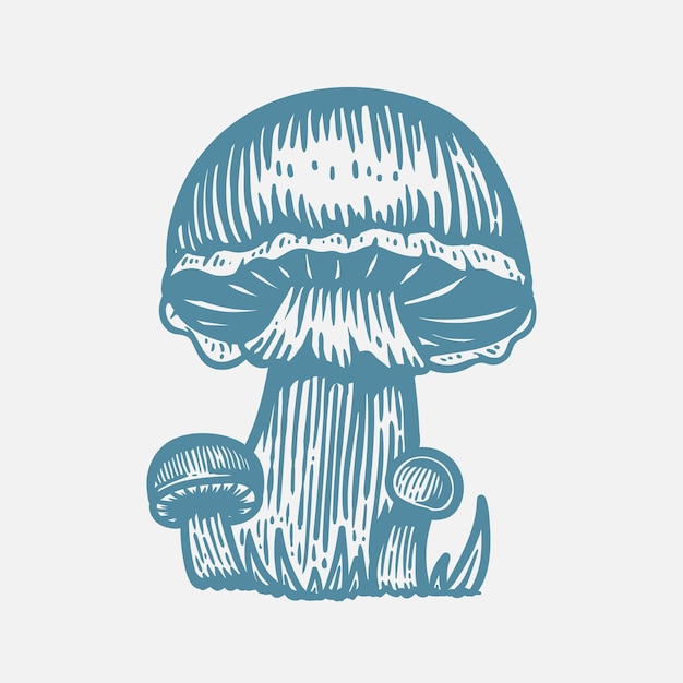 Hand drawn mushroom illustration in vintage style