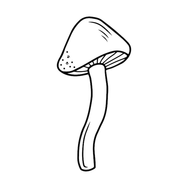 흰색 배경에 고립 된 손으로 그린 버섯