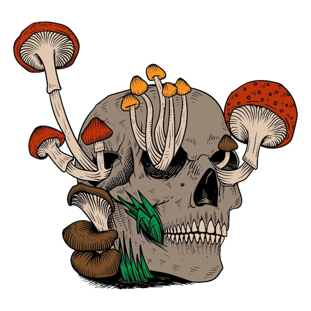 Vector hand drawn mushroom skull head