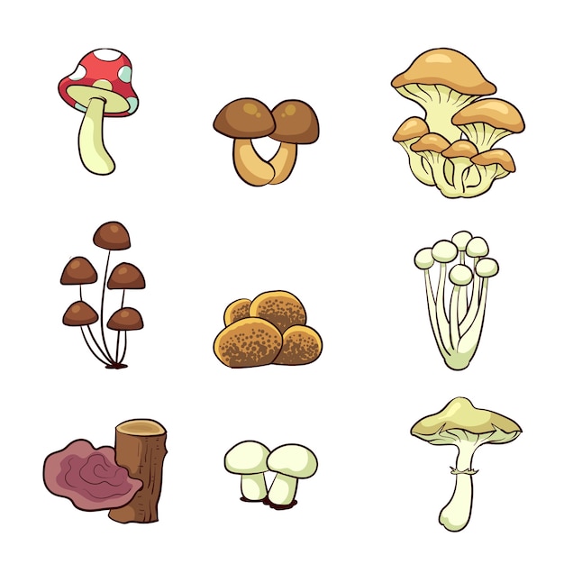 Raccolta di funghi disegnati a mano