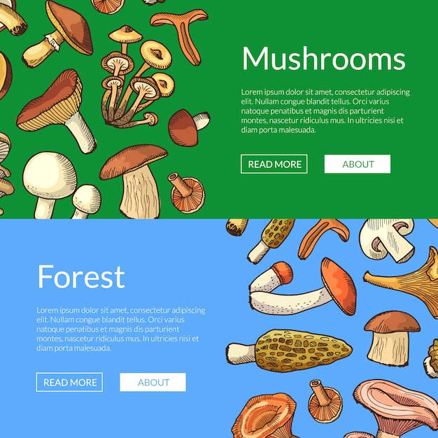 Hand drawn mushrooms horizontal banners