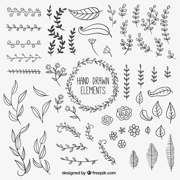 Hand drawn natural decoration elements