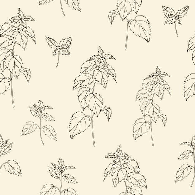 Hand drawn nettle seamless pattern