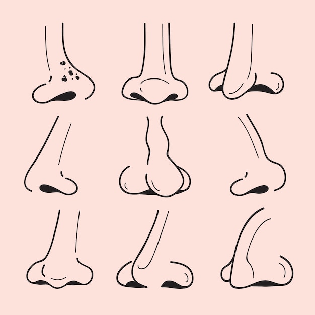 Hand drawn nose cartoon collection illustration