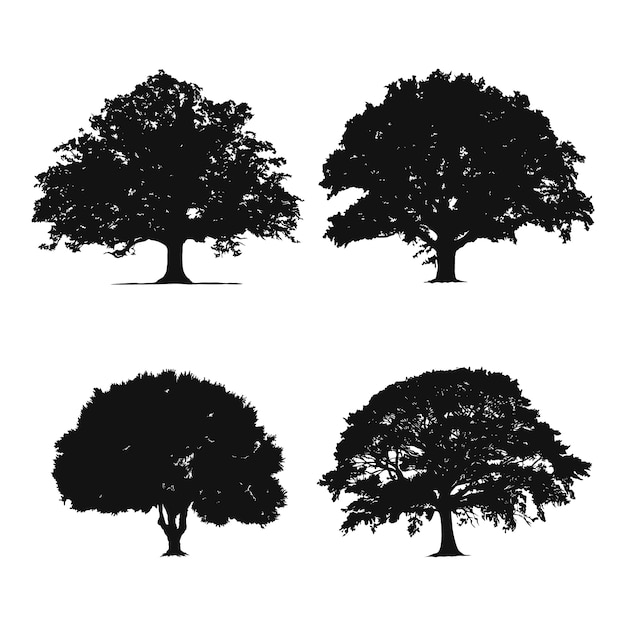 Vector hand drawn  oak tree silhouette