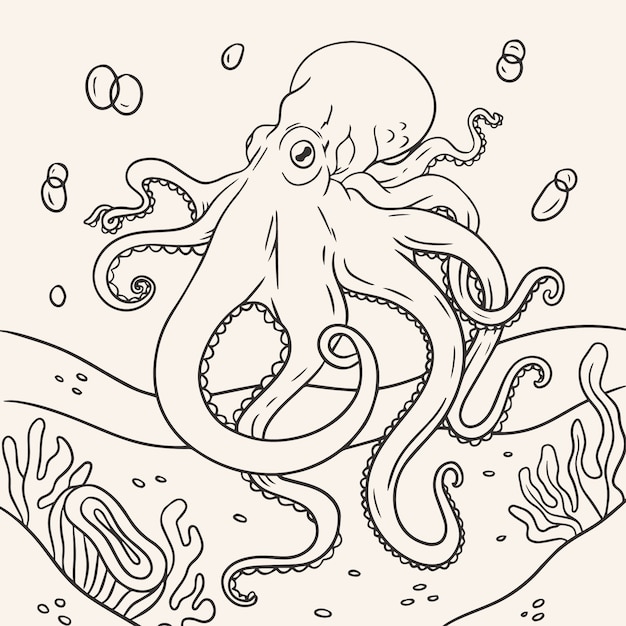 Hand drawn octopus outline illustration