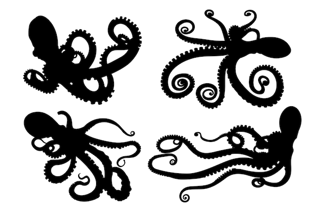 Vector hand drawn octopus silhouette
