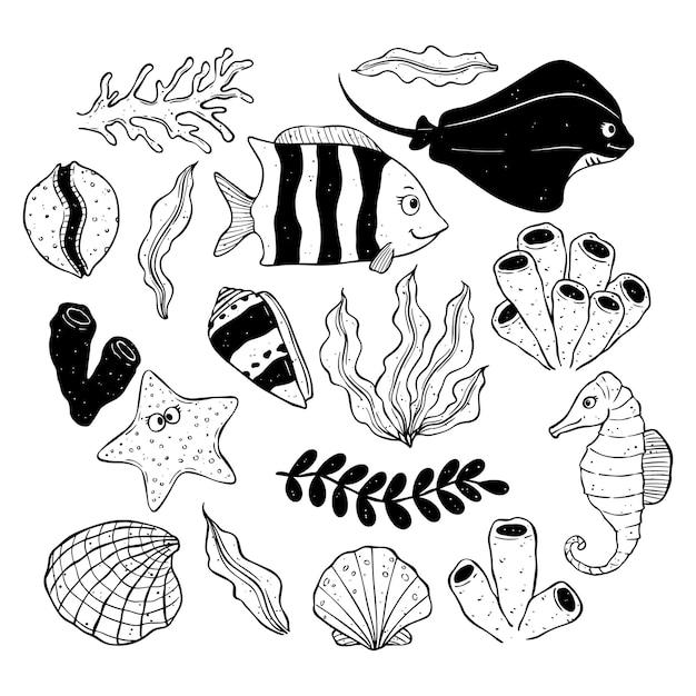 海の生物の手描きアカエイヒトデの殻のタツノオトシゴと海藻