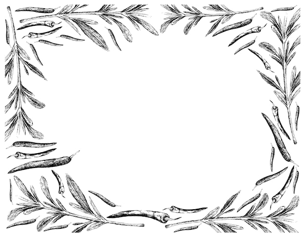 Рисованной из летнего чабера с рамкой из перца чили
