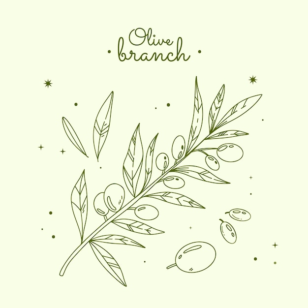 Вектор Нарисованная рукой иллюстрация контура оливковой ветви