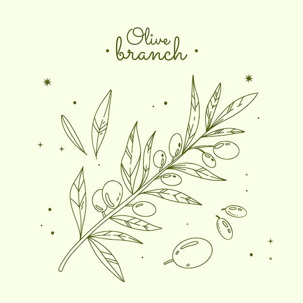 Hand drawn olive branch outline illustration