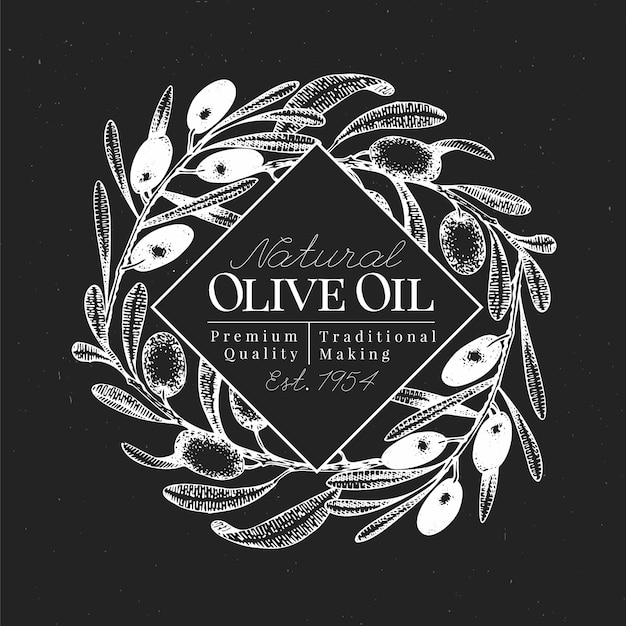 Hand drawn olive design template. Vector olives illustrations on chalk board. Vintage olive oli background