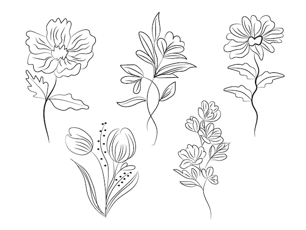 手描きの装飾的な境界線