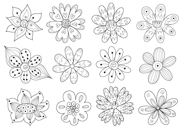 만화 스타일의 낙서 식물이 있는 손으로 그린 장식용 꽃 흑백 세트 컬렉션
