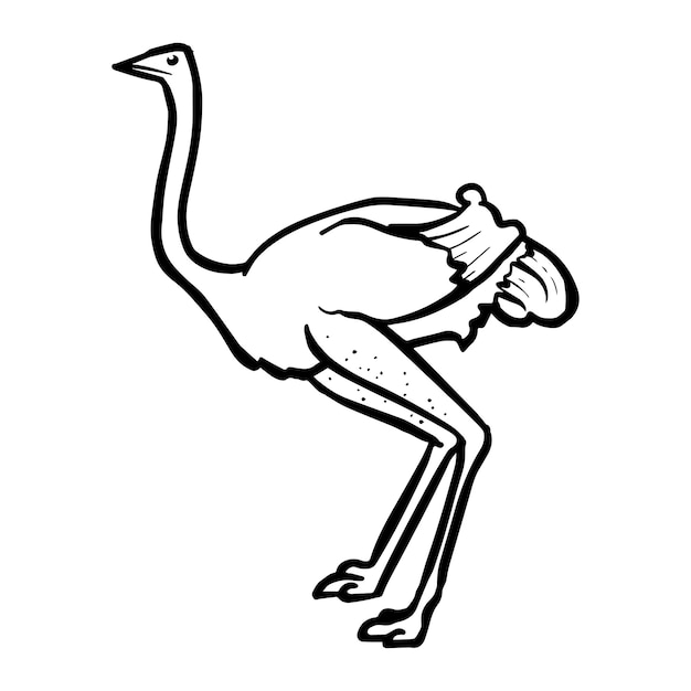 Hand drawn ostrich vector illustration