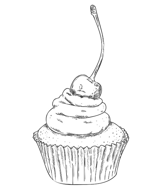 Vector hand drawn outline cupcake with cherriy