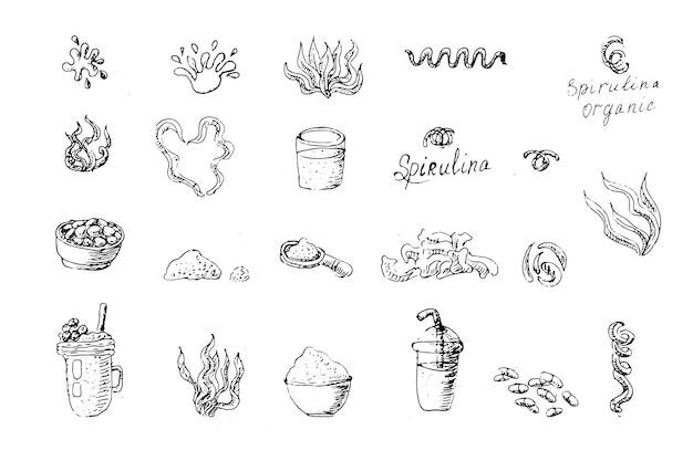 Hand drawn outline set of spirulina algae superfood product for drink vector illustration can used