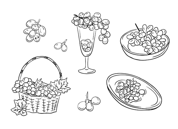 Hand drawn outline sketch set with grapes