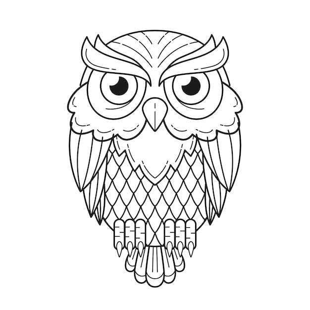 Hand drawn owl outline illustration