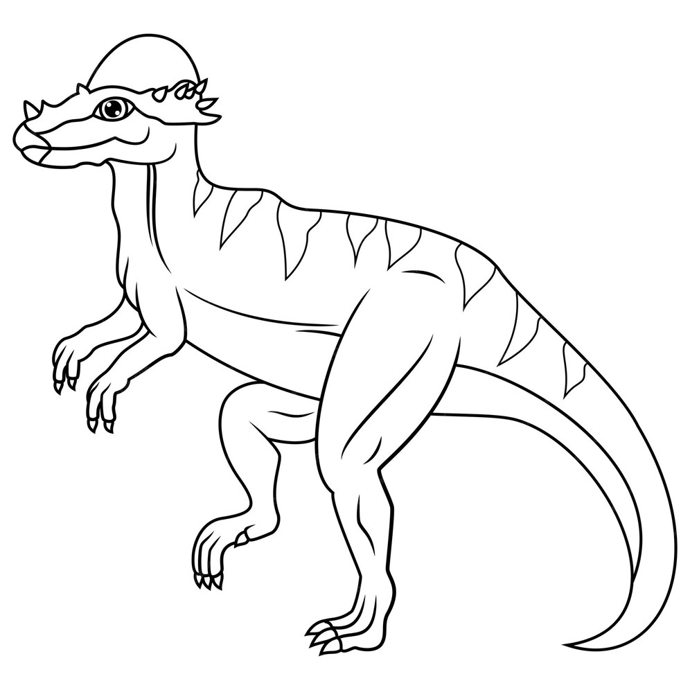 Premium Vector Hand drawn of pachycephalosaurus line art