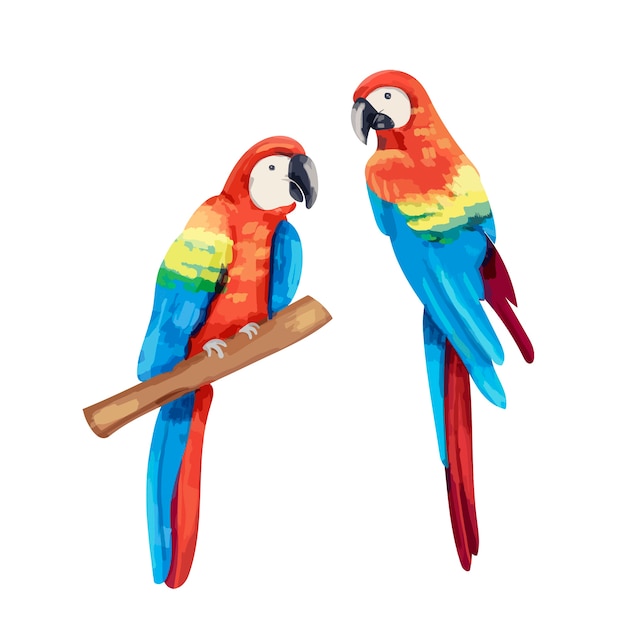 Vector hand drawn pair of parrots