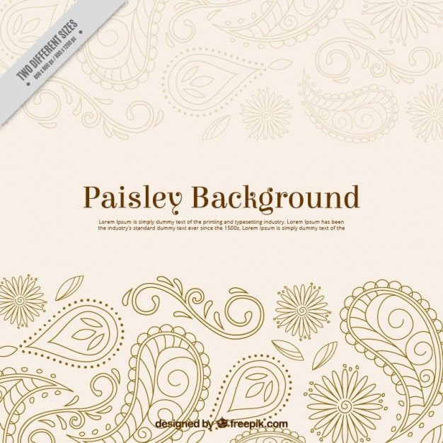 Hand drawn paisley ornamental background