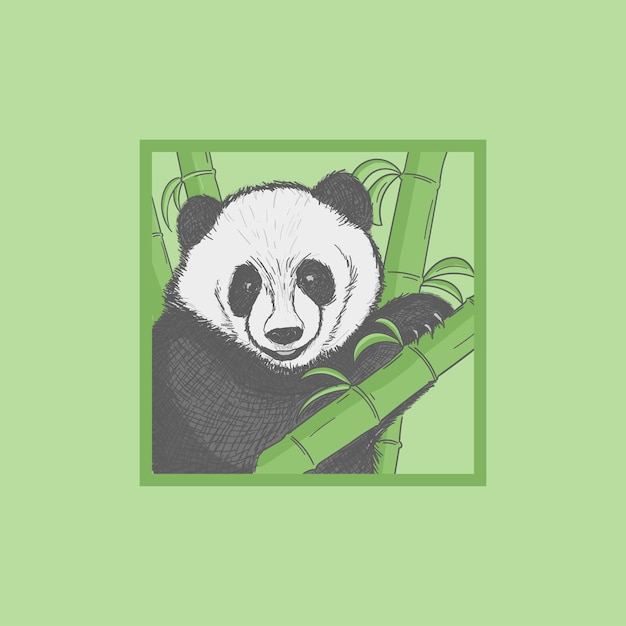 Hand drawn panda animal illustration