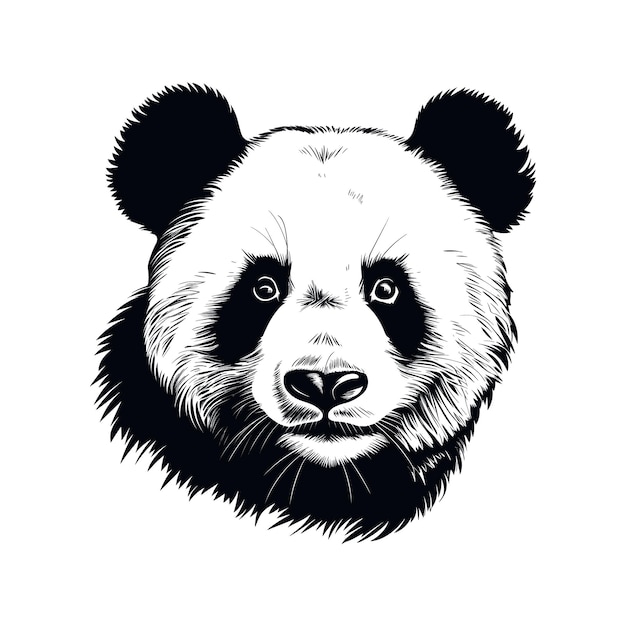 Hand drawn panda outline illustration