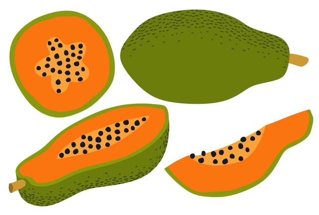 hand drawn papaya set