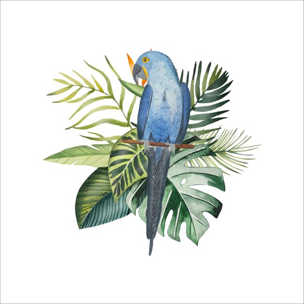 Vector hand drawn parrot with tropical leavesflowers watercolor