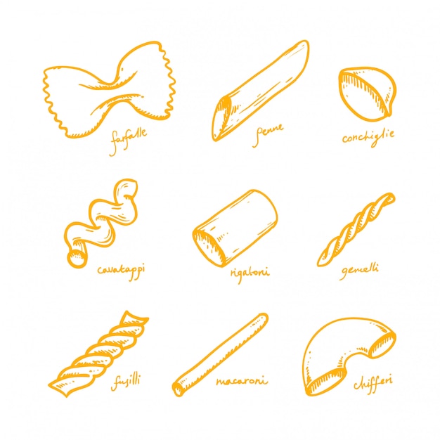 Hand drawn pasta and macaroni types set