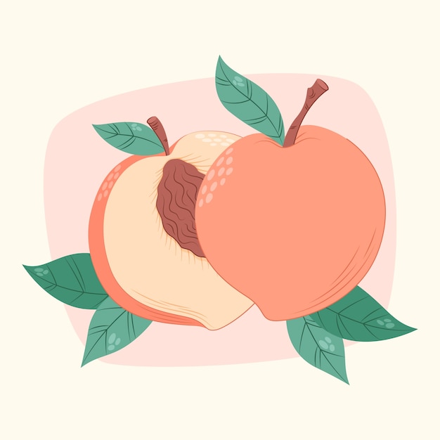 Hand drawn peach illustration