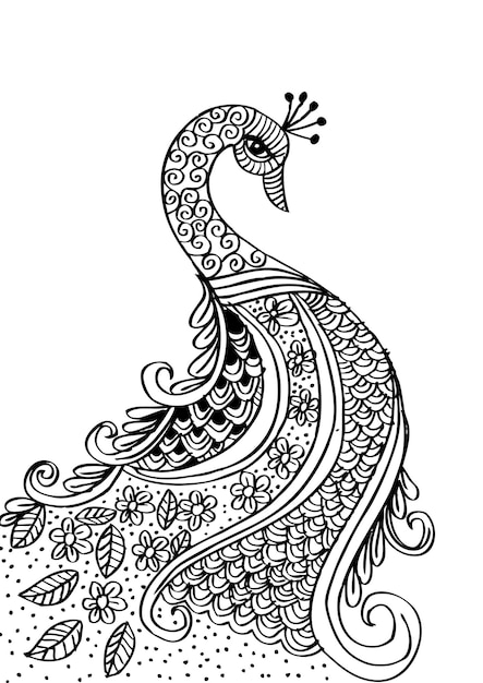 Hand drawn Peacock with floral ornament