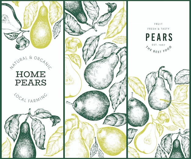 hand drawn pears banner set