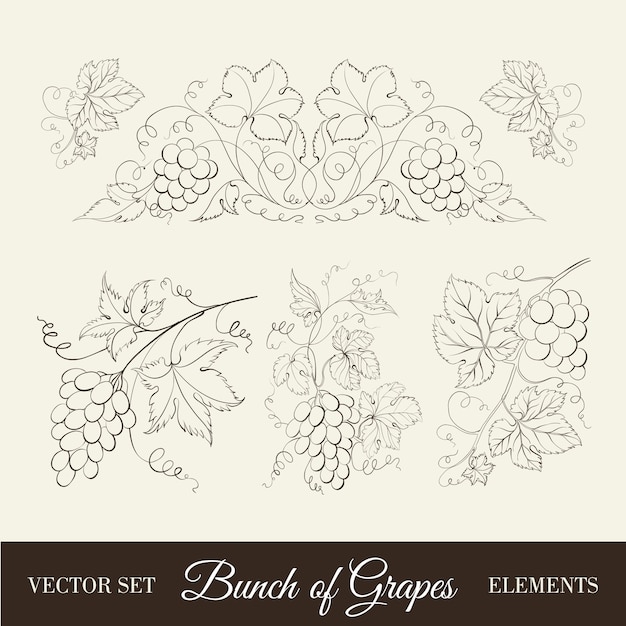 Vector hand drawn of pencil, grapes set.