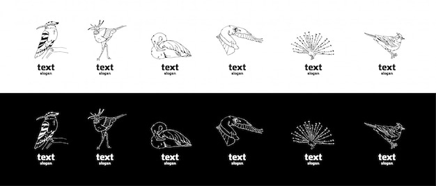 Grafica a matita disegnata a mano, set di uccelli