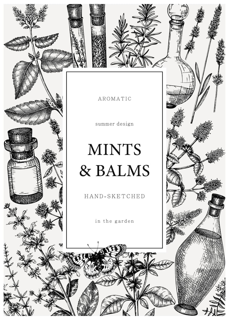 Vector hand-drawn perfumery and cosmetics ingredients card. decorative vintage mints and balms herbs.