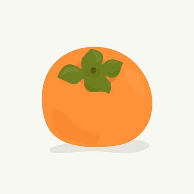 Hand drawn persimmon fruit illustration