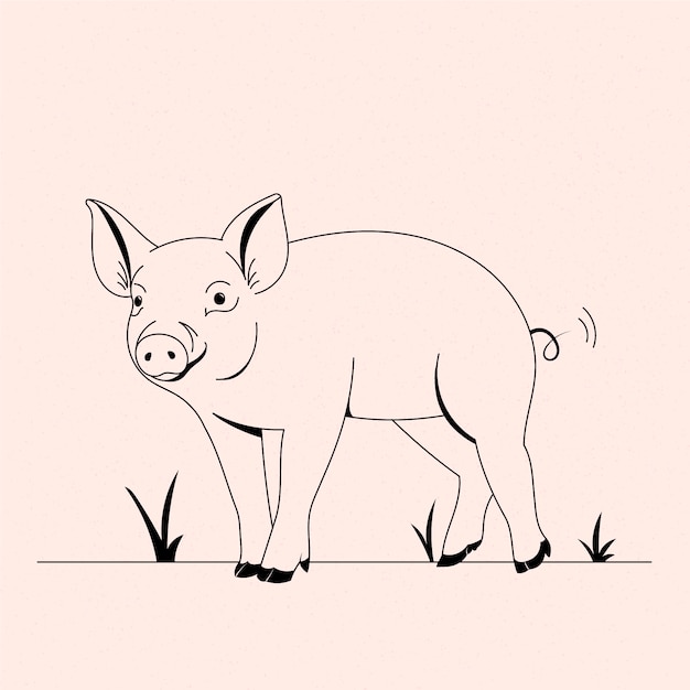 Vector hand drawn pig outline illustration