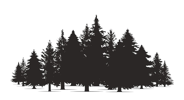 Vector hand drawn pine forest christmas banner template vector set silhouette of different canadian pine