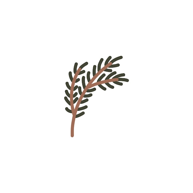 Hand drawn pine tree branch Green lush spruce branch Vector doodle illustration