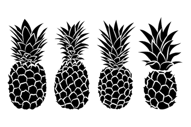 Vector hand drawn pineapple silhouette