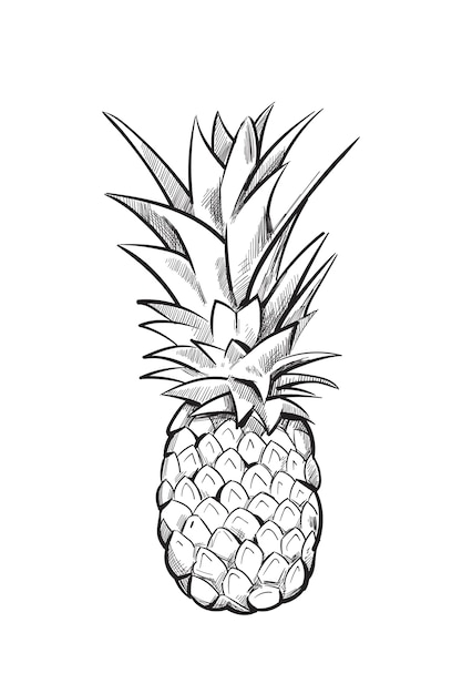 Ananas disegnato a mano