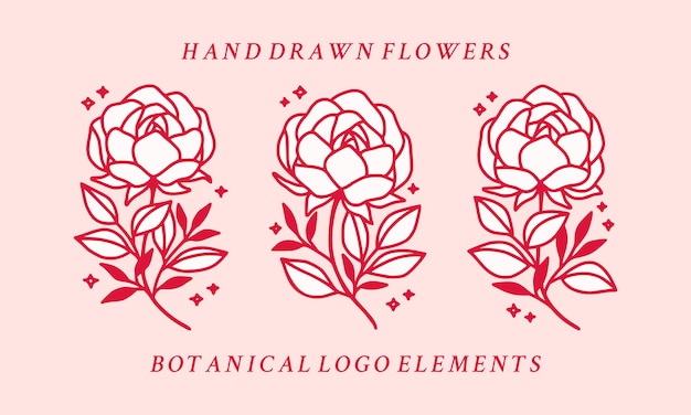 Вектор Нарисованная рукой коллекция элементов логотипа цветка розового ботанического пиона