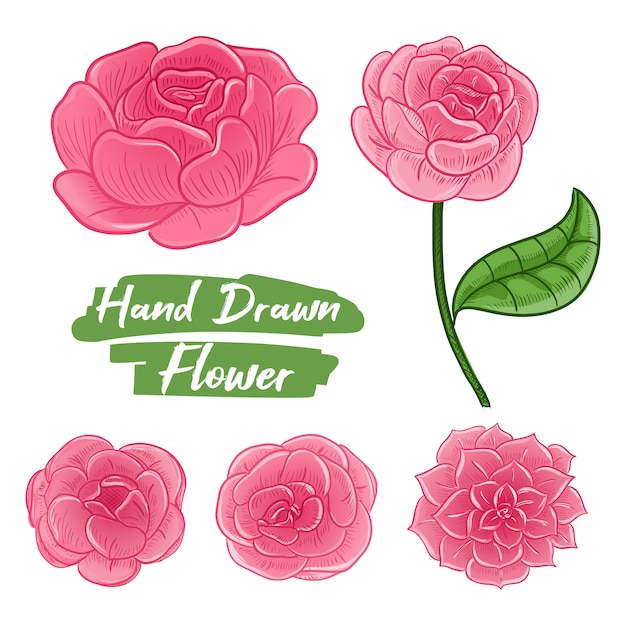 Disegnato a mano di fiore rosa per invito a nozze.