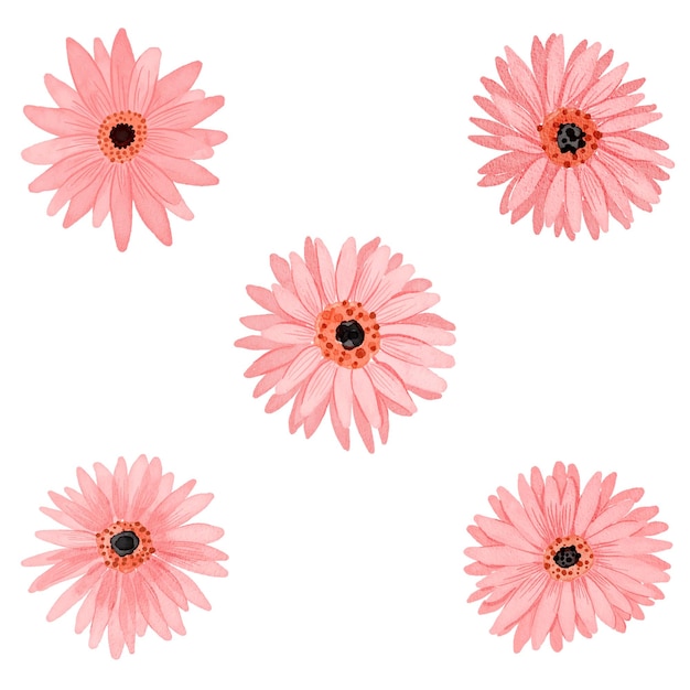 hand drawn pink flowers set