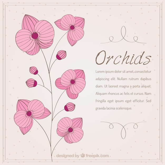 手描きピンクの蘭の花