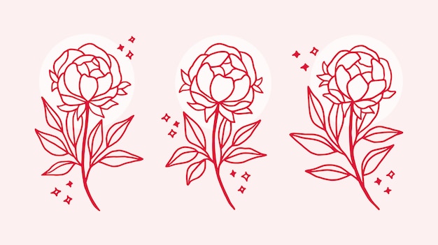 Elementi di logo peonia rosa disegnati a mano
