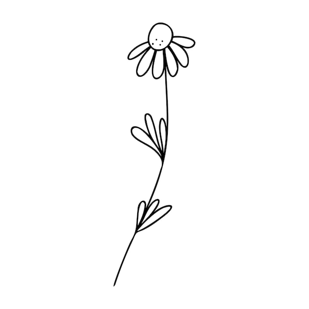 Hand drawn plant element twig flower